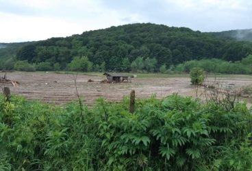 Trei din cei patru copii luaţi de ape, găsiţi morţi