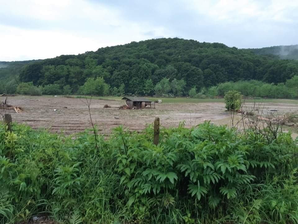 Trei din cei patru copii luaţi de ape, găsiţi morţi Trei din cei patru copii luaţi de ape, găsiţi morţi