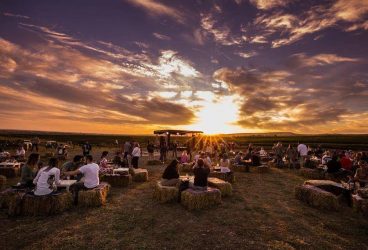 MAUVE Wine Experience III – Festival de muzică și film în via Tohani România