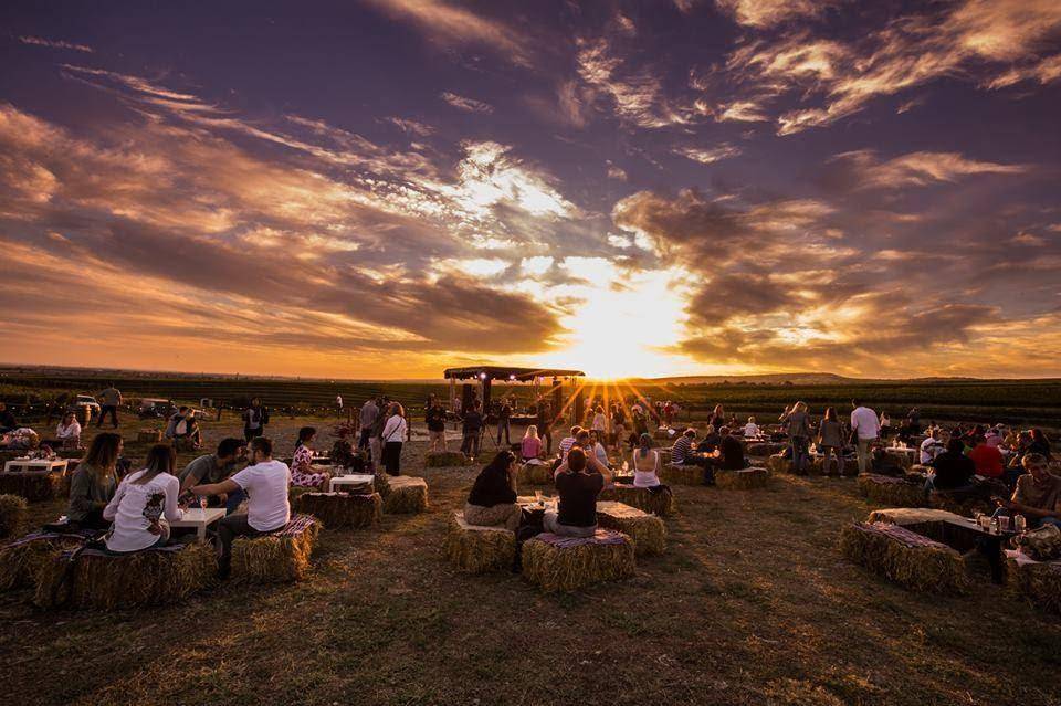 MAUVE Wine Experience III – Festival de muzică și film în via Tohani România