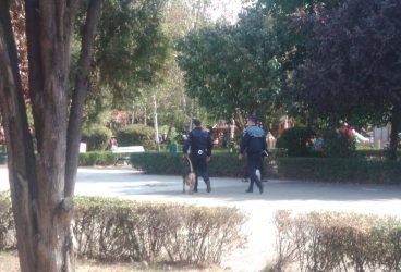 Patrule canine în parcuri ploieştene