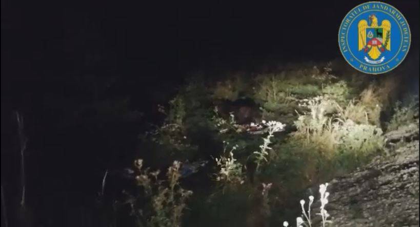 Aseară, jandarmii au alungat cu spray-ul urşii din campingul de pe Valea Cerbului Aseară, jandarmii au alungat cu spray-ul urşii din campingul de pe Valea Cerbului