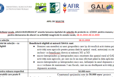 Apel de selectie de proiecte nr. 2/2019  pentru masura, M4/6A Sprijin pentru demararea de afaceri cu activități neagricole în zonele rurale, 18.11.2019-28.12.2019
