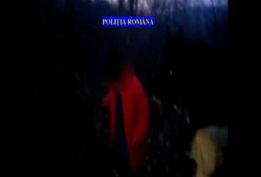 Poliţia stopează furturile din pădurea Jugureni. Hoţii prinşi noaptea la pândă!