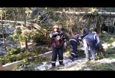 Pompierii degajează drumurile din Bucegi de capacii căzuţi la furtună