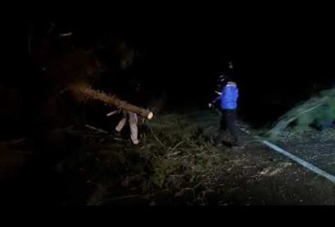 Grup de copii, blocat la o tabără de schi la Sinaia -Cota 1400