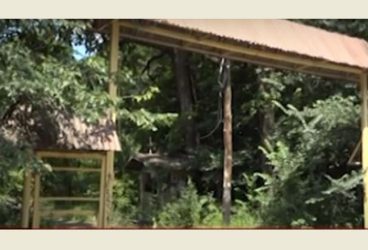 Primăria Păuleşti face eforturi să intre în posesia taberei- ruină