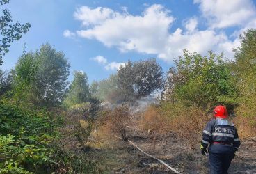 Incendiu la rampa de gunoi de la Băneşti (imagini)