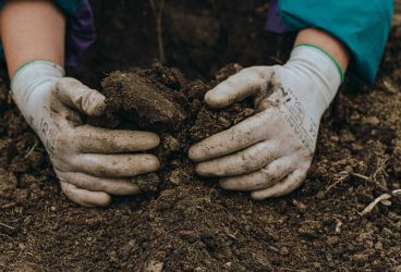4 comunități noi au intrat în Pădurea Copiilor în această toamnă!