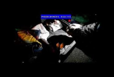 Kilograme de droguri găsite de poliție în locuințele a doi ploieșteni