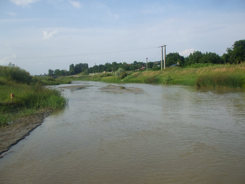 Bărbat dispărut în decembrie, găsit mort pe malul Cricovului Sărat Bărbat dispărut în decembrie, găsit mort pe malul Cricovului Sărat