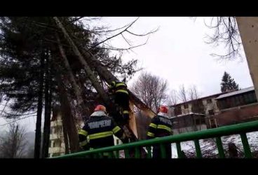 Pompierii intervin la copacii afectați de furtună, din Sinaia