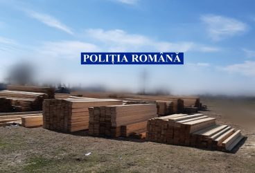 Cherestea de peste 1 miliard lei vechi, capturată la Mizil