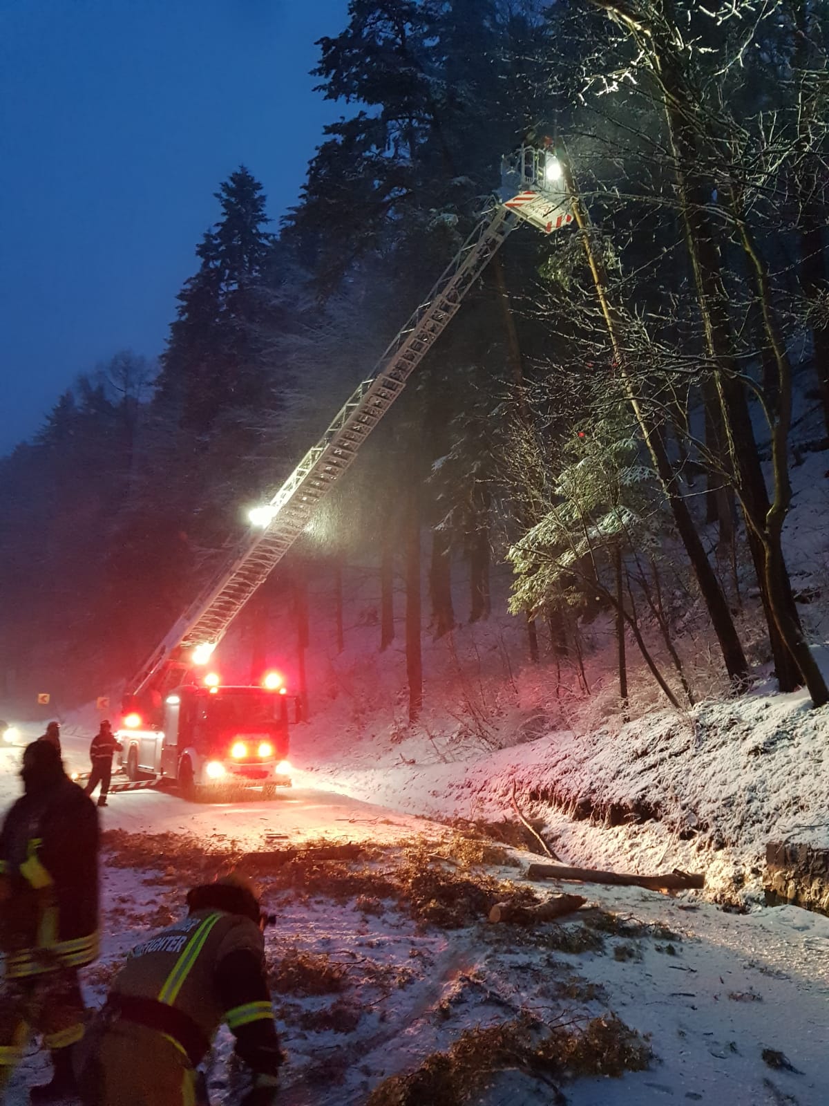 Un copac a fost gata să se prăbuşească peste DN, la Azuga (foto) Un copac a fost gata să se prăbuşească peste DN, la Azuga (foto)