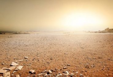 Prahova bagă 125 mii de euro în schimbările climatice!