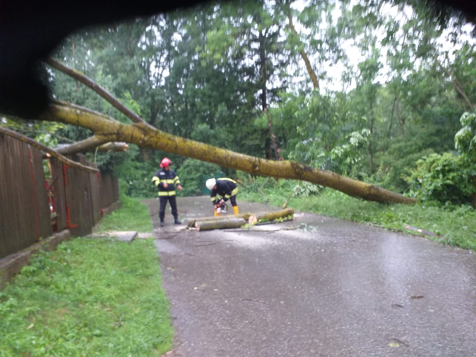 Copac căzut pe o casă la provița de Sus Copac căzut pe o casă la provița de Sus