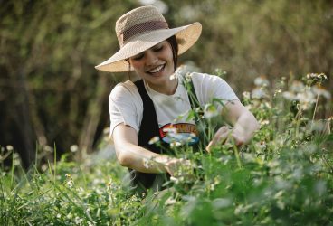 Povestea GrădinaMax, magazin online cu una dintre cele mai bogate game de produse de grădinărit din România