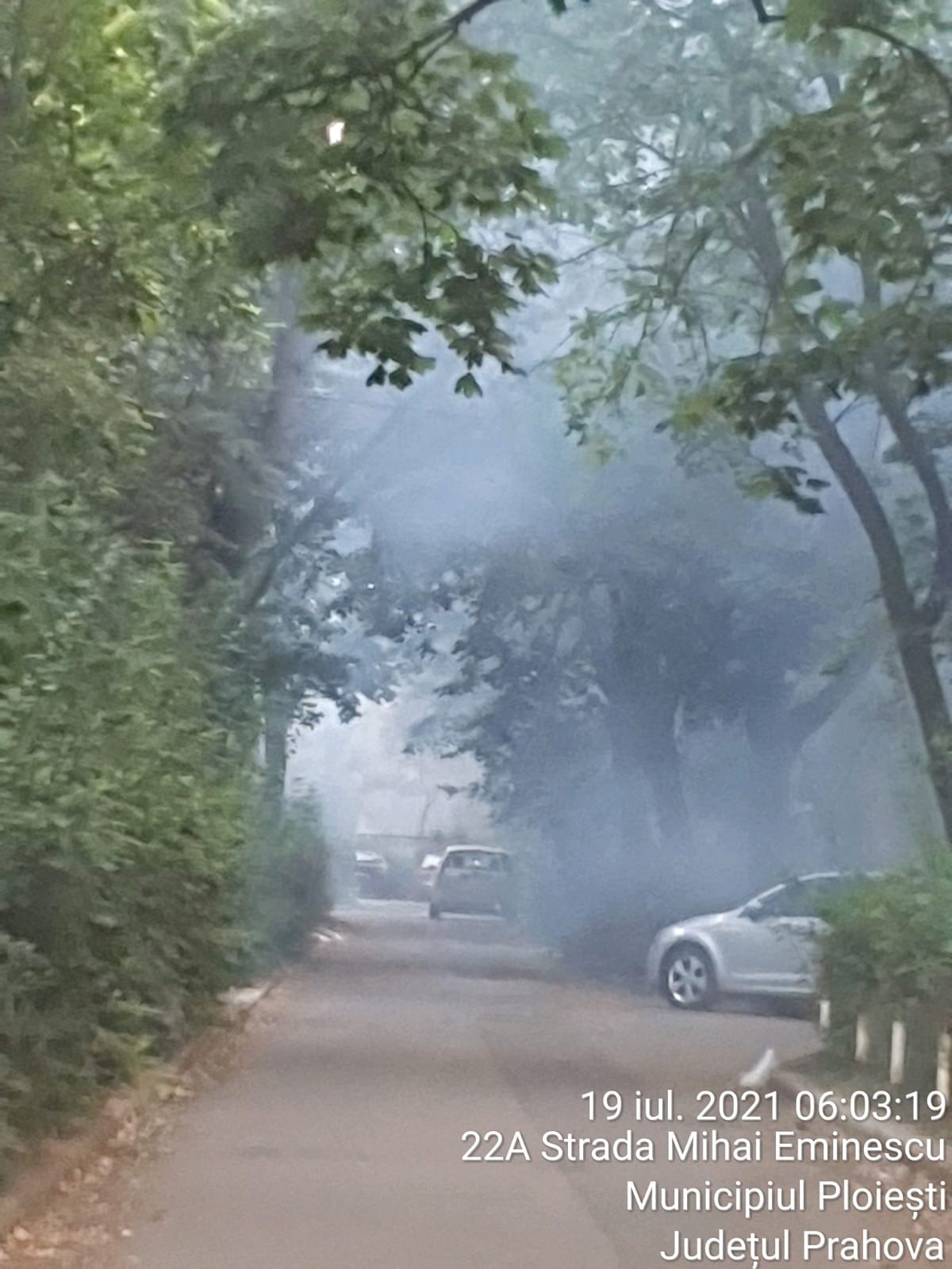 Dezinsecție în Ploiești, în perioada 19 – 30 iulie