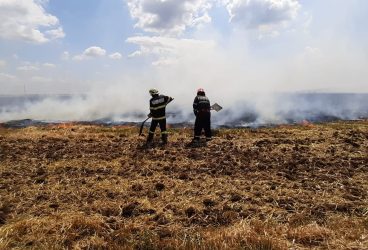 4 hectare de grâu, mistuite în incendiu la Strejnicu