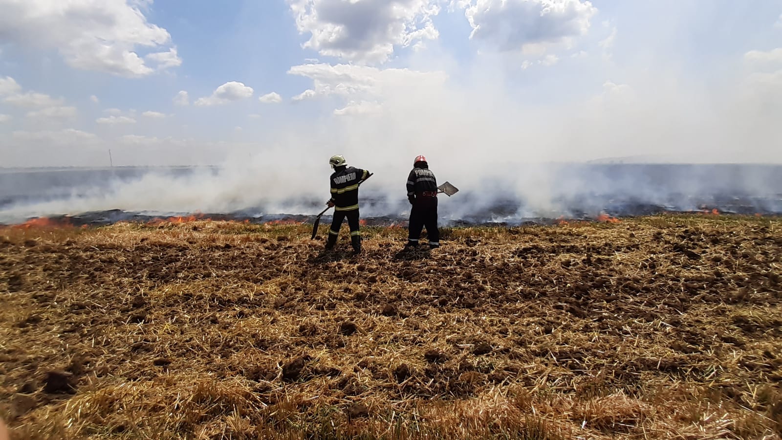 4 hectare de grâu, mistuite în incendiu la Strejnicu