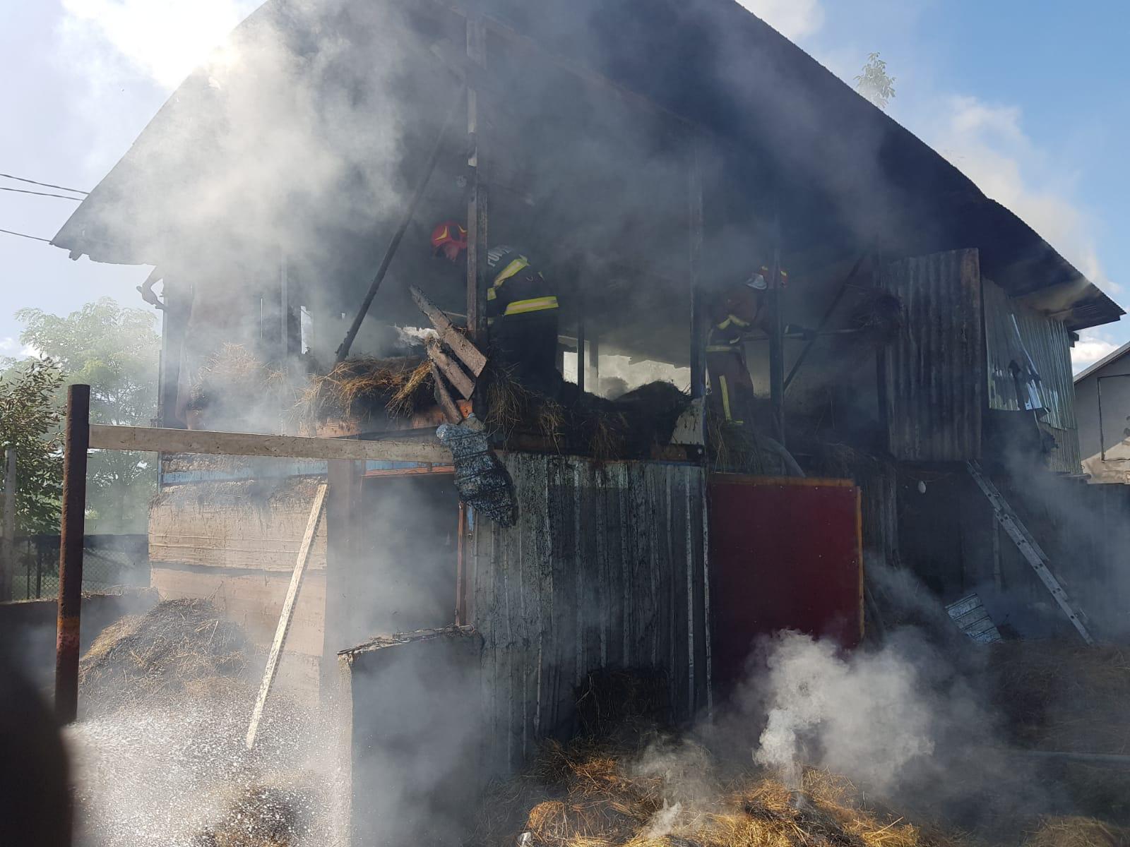 Adăpost cu animale și fân, cuprins de flăcări la Lipănești Adăpost cu animale și fân, cuprins de flăcări la Lipănești