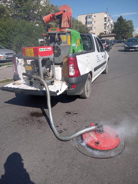 Stadiul lucrărilor de dezinsecție în Ploiești