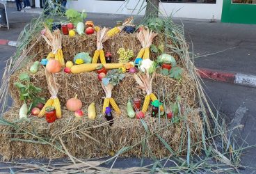 Octombrie în Prahova – O toamnă plină de cultură, artă, tradiție și spectacole