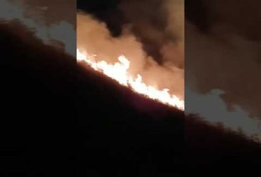 Arde Valea lui Seman (imagini)