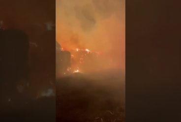 Au luat foc 350 tone de paie la Baba Ana