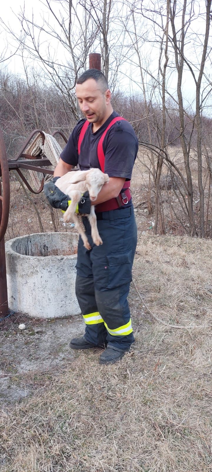 Ieduț salvat de pompieri din fântână