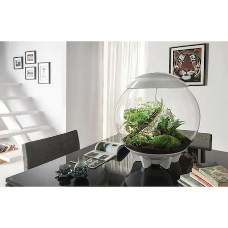 9 sfaturi pentru a face un terariu DIY