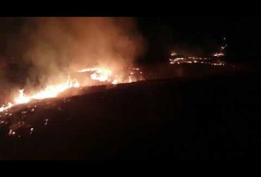 Ard dealurile de la Seciu