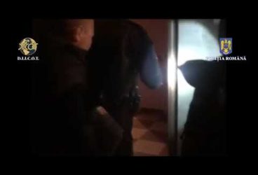 Prahova: Grup infracțional a creat un sindicat fictiv cu care a dat o grea țeapă unei societăți de telefonie mobilă