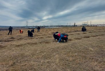 Împădurirea fostei rampe de gunoi a Ploieștiului continuă