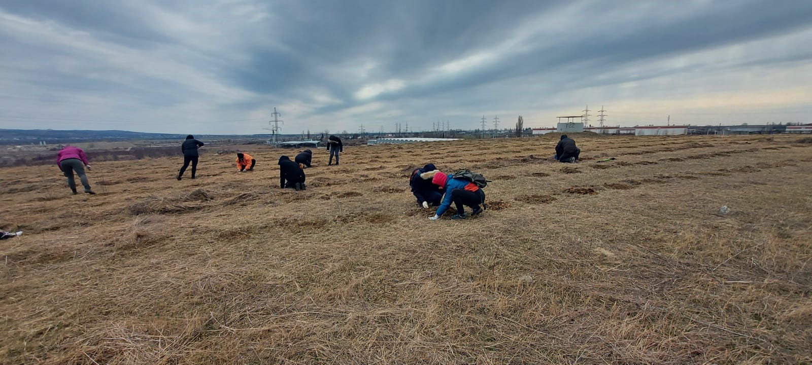 Împădurirea fostei rampe de gunoi a Ploieștiului continuă