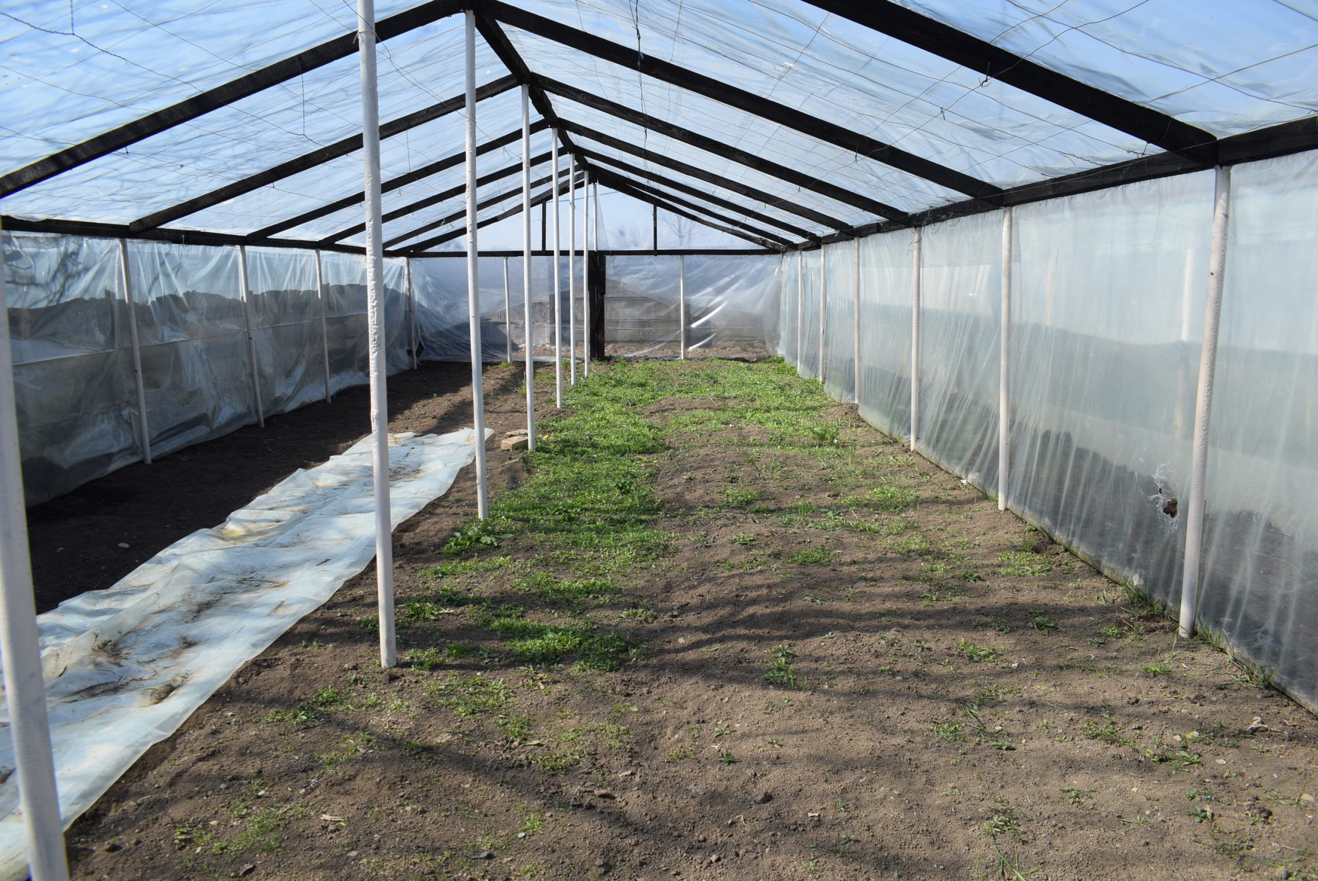 Deținutele de la Târgșorul Nou s-au apucat de grădinărit