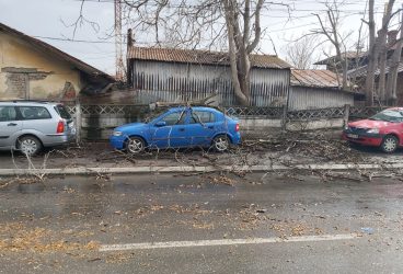 Furtuna violentă de astăzi a doborât în județ stâlpi, copaci și a avariat mașini