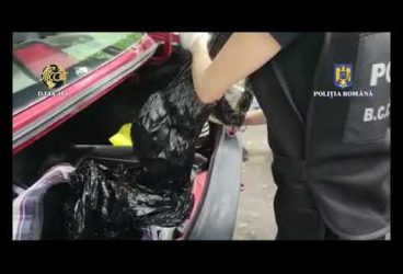 Dealeri de droguri, arestați la Ploiești