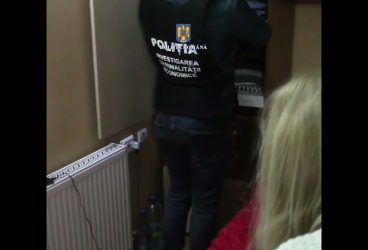 Evaziune fiscală la greu, la o firmă din Telega!