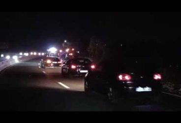 Un taur scăpat pe DN1 a produs un accident cu un autocar şi alte maşini implicate (imagini cu impact emţional)