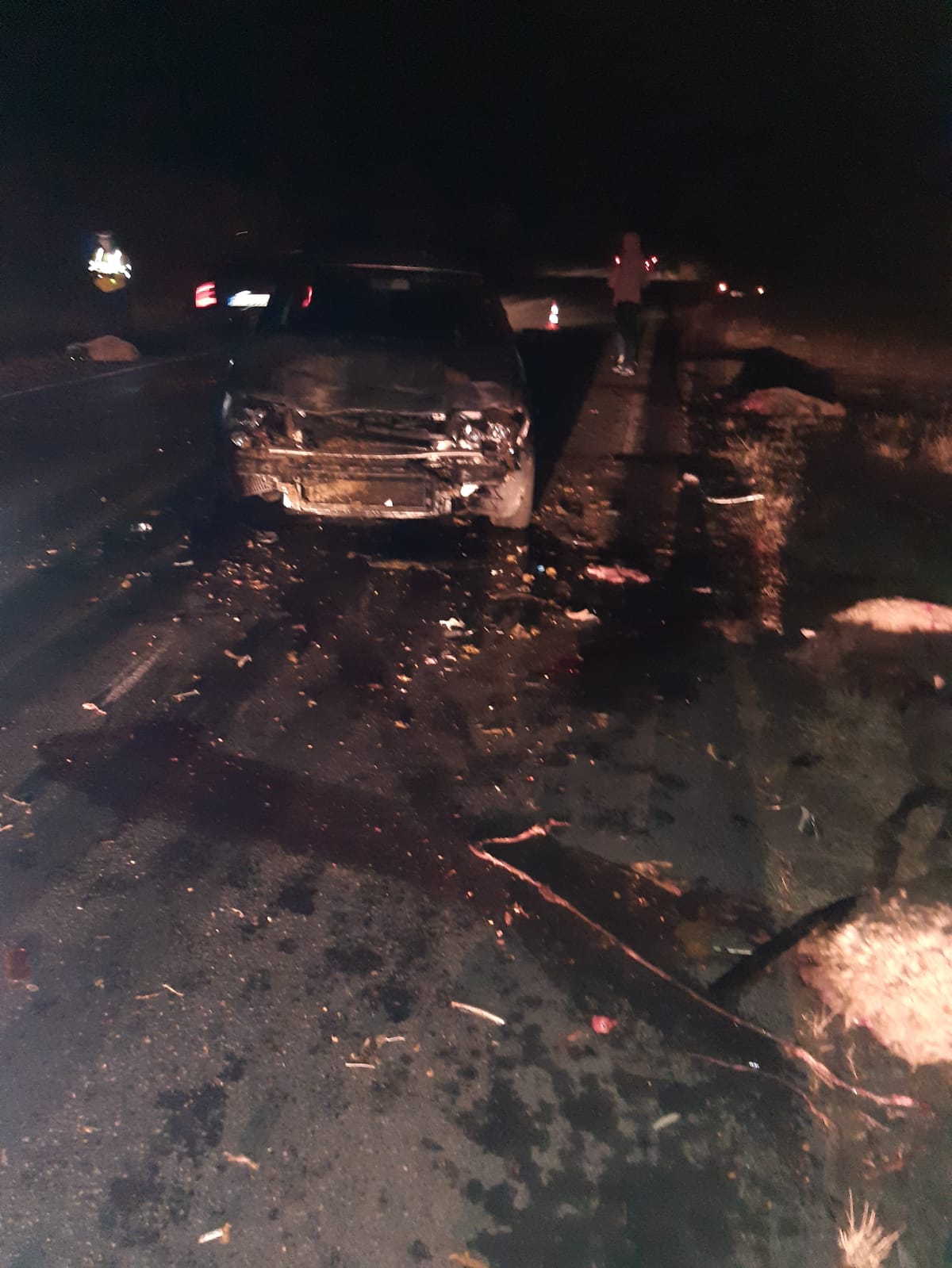 Un tânăr la volan a omorât 13 oi pe șosea la Albești Paleologu