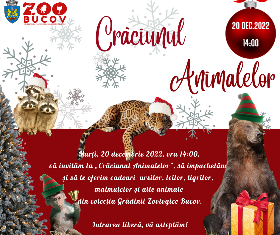 Invitație la Zoo, la Crăciunul Animalelor