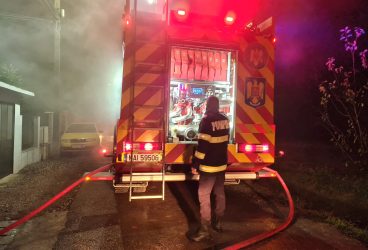 Zi de foc pentru pompierii prahoveni. Incendii la Vadu Săpat şi Ceptura de Jos