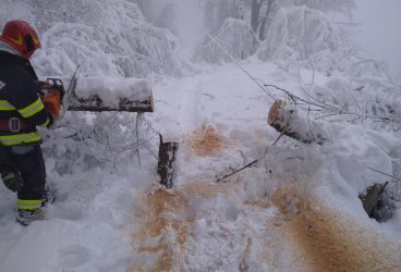 Peste 1200 de gospodării din Prahova nu aveau curent electric, în această dimineață