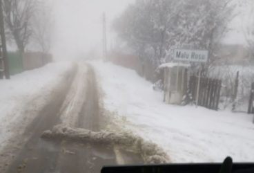 Cum se circulă pe drumurile din judeţul Prahova