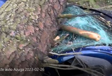 Un brad a căzut peste un autoturism aflat în trafic, la Azuga