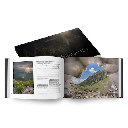 Avantajele cumpărării cărților online