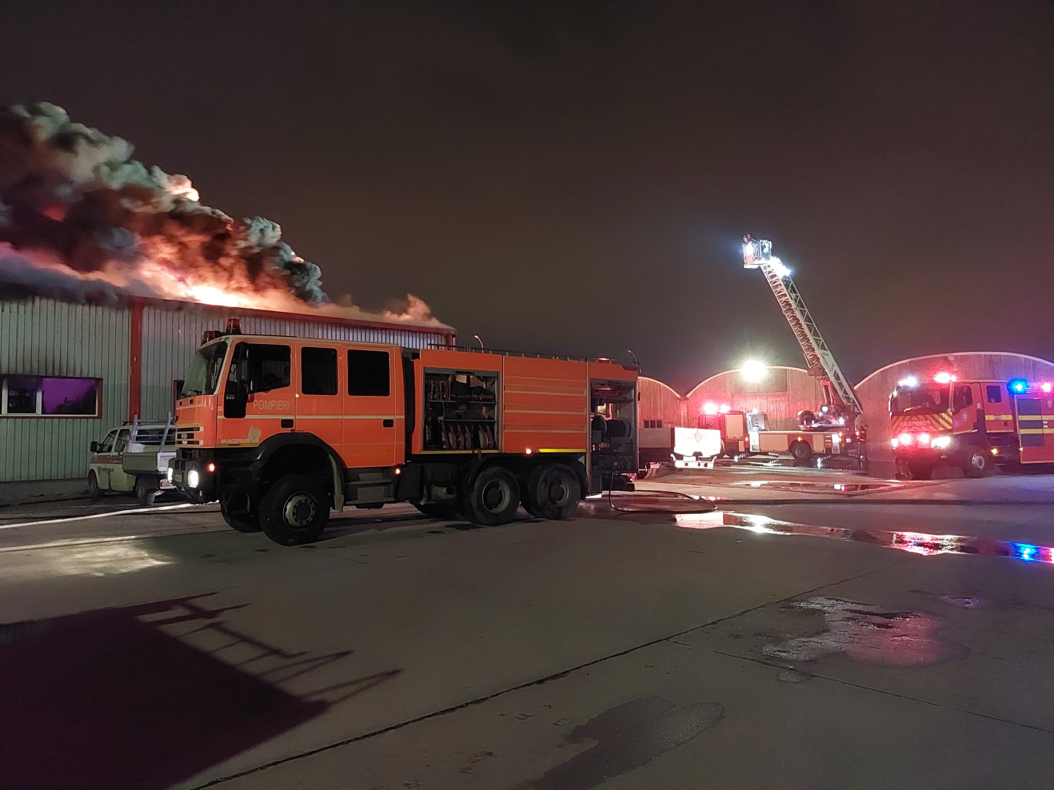 Imagini de la incendiul de azi-noapte, la o hală industrială din apropierea Parcului Municipal Vest