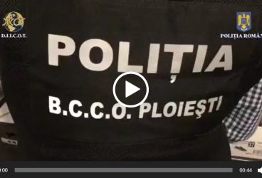 PERCHEZIȚII ÎN PRAHOVA LA TINERI CERCETAȚI PENTRU TRAFIC DE DROGURI DE RISC ȘI MARE RISC