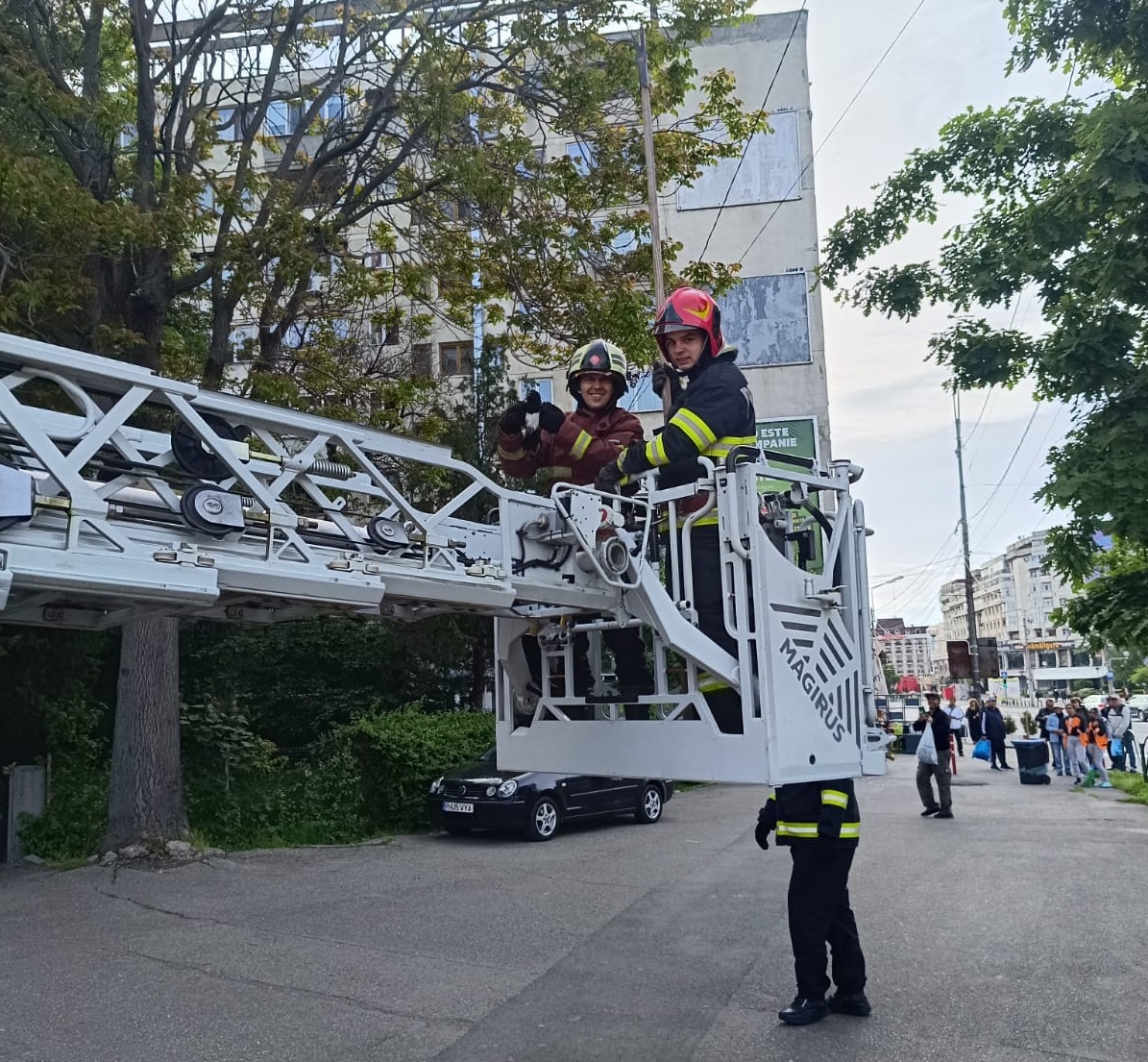 Intervenţie atipică a pompierilor prahoveni Intervenţie atipică a pompierilor prahoveni